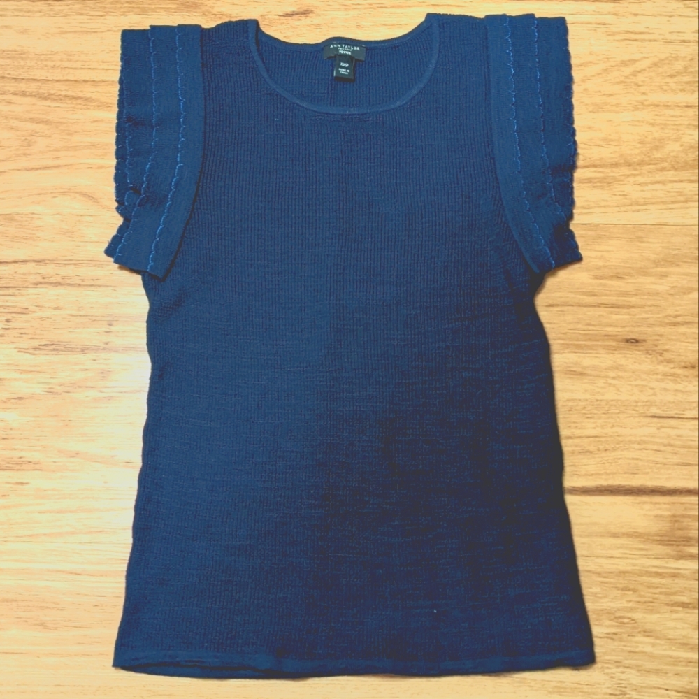Ann Taylor Blue Sweater Petite Short Sleeve